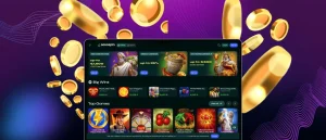 Savaspin Application for PC